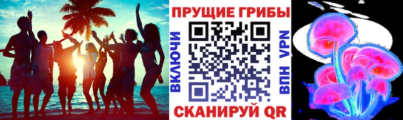 Галлюциногенные грибы GOLDEN TEACHER  Купить где  Тавда 